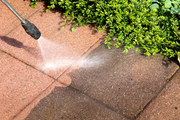Best Exterior Home Cleaning  in West Crossett, AR